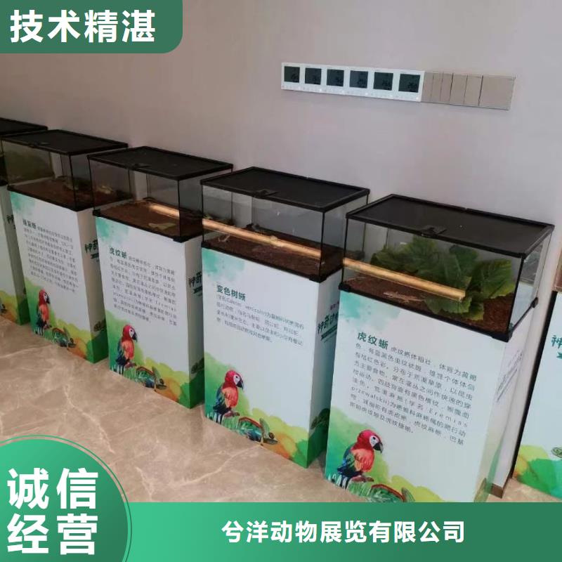 马戏团/羊驼海洋展租赁高效