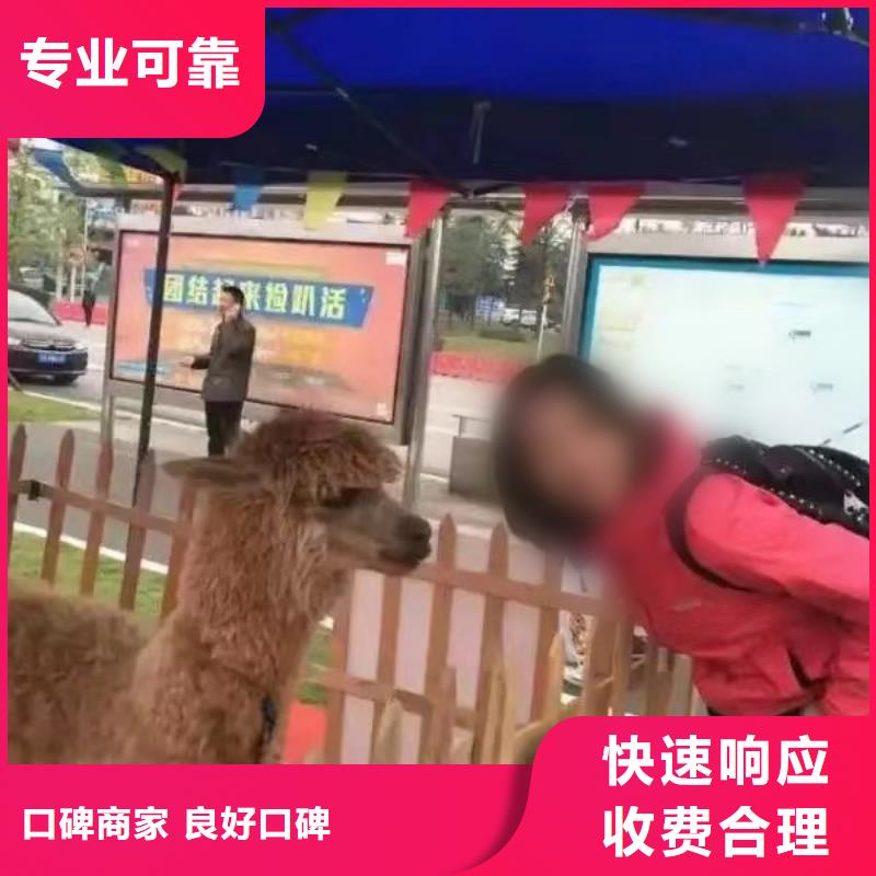 马戏团/羊驼租赁美人鱼表演快捷
