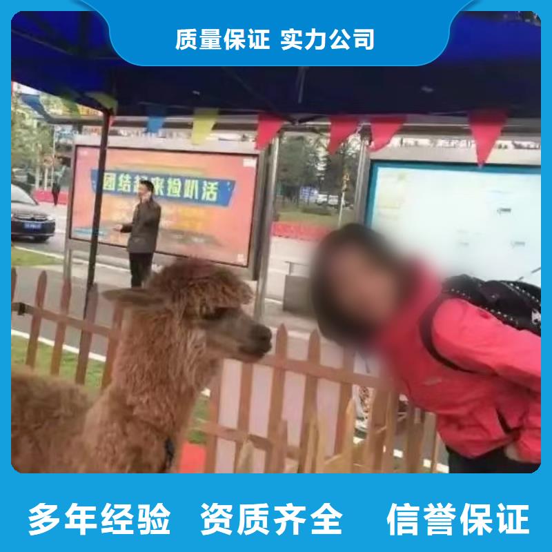 马戏团/羊驼马戏团表演出租租赁明码标价