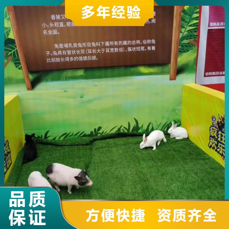 马戏团/羊驼_【企鹅表演出租】有实力