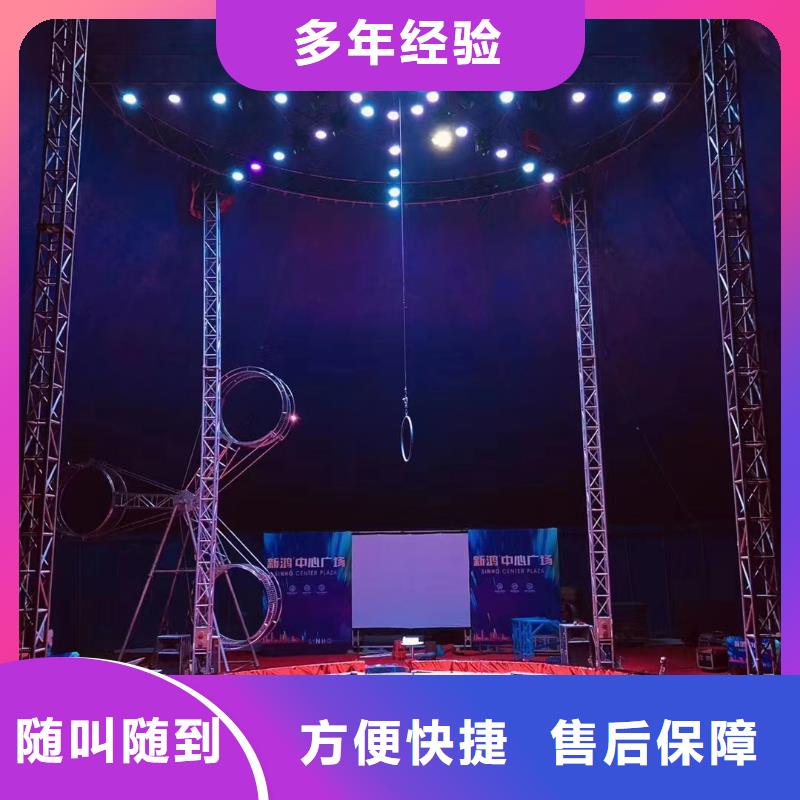 【马戏团/羊驼】海狮表演出租实力公司