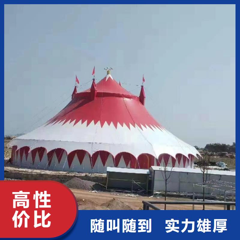 马戏团/羊驼出租表演企鹅2025公司