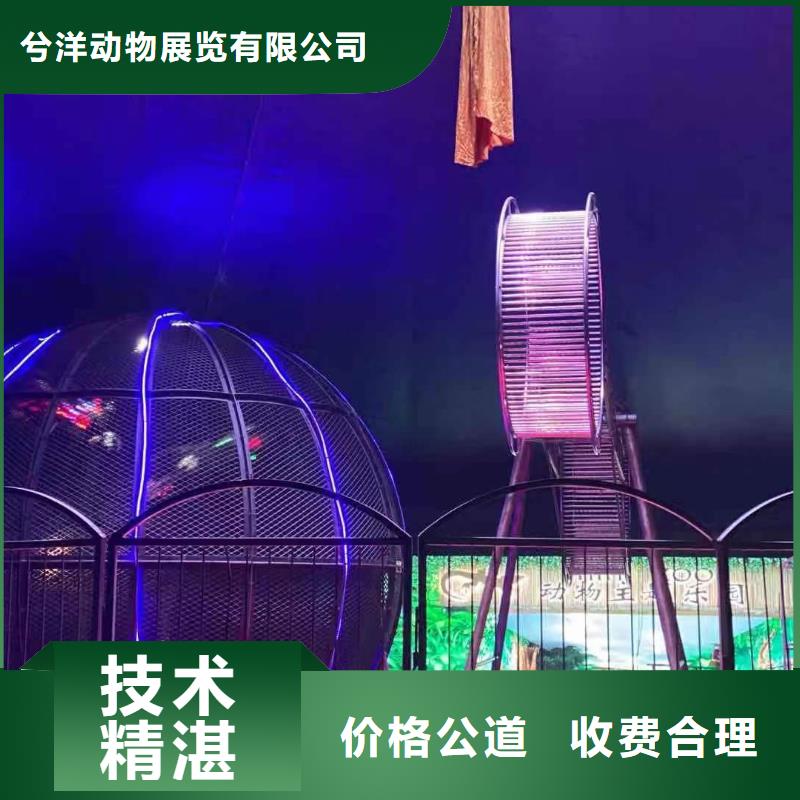 马戏团/羊驼【海狮表演】优质服务