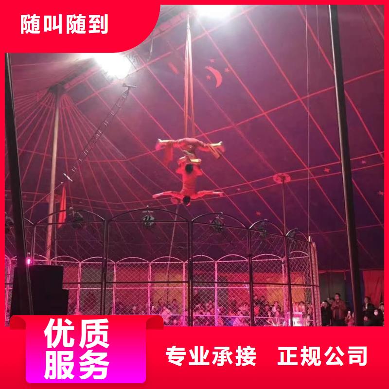马戏团/羊驼-表演动物出租好评度高