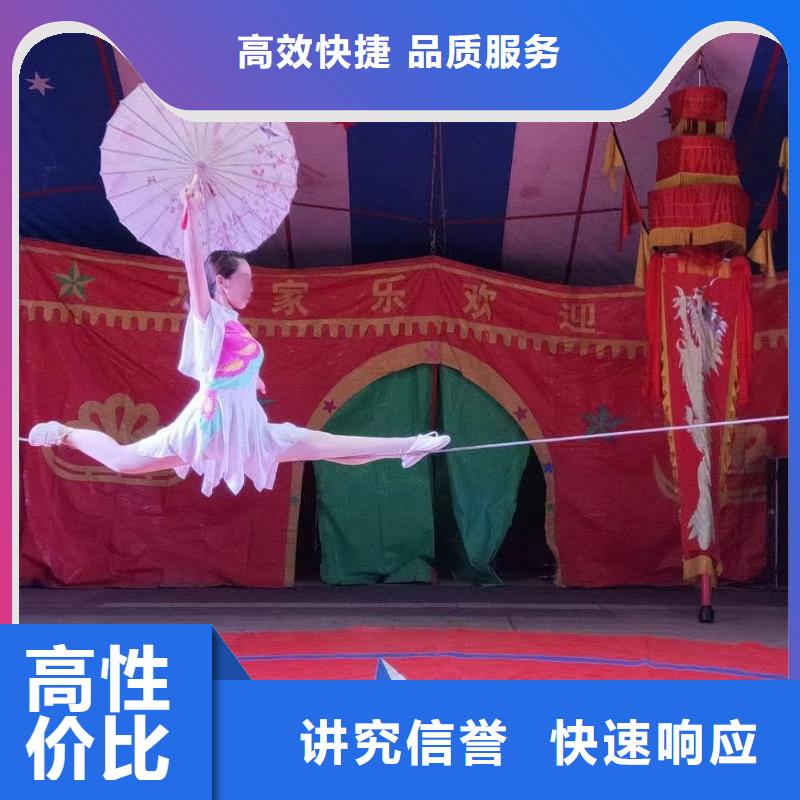 马戏团/羊驼出租海狮表演品质优