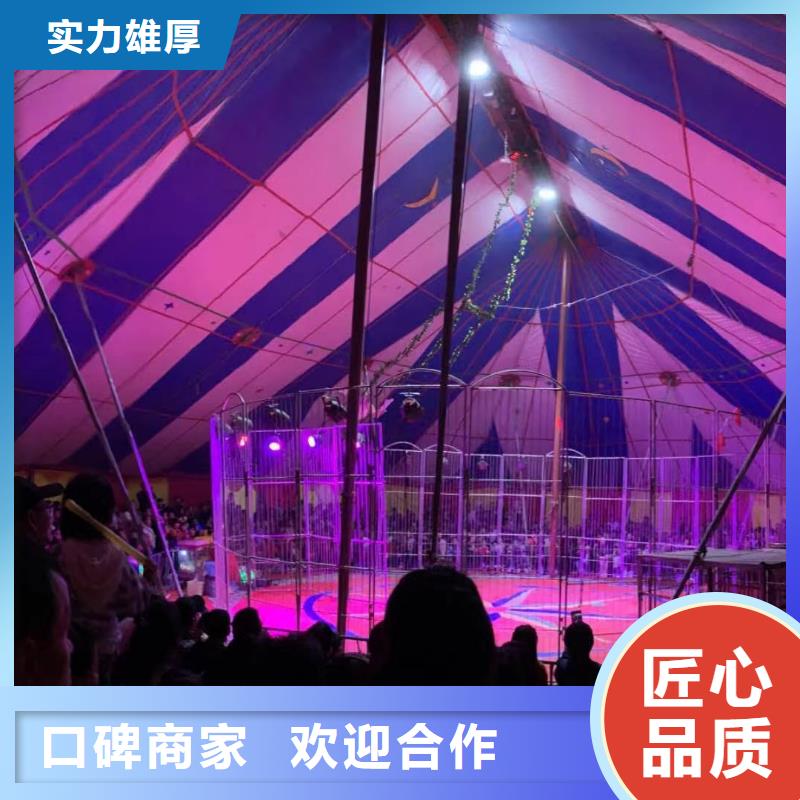 马戏团/羊驼企鹅租赁一站搞定