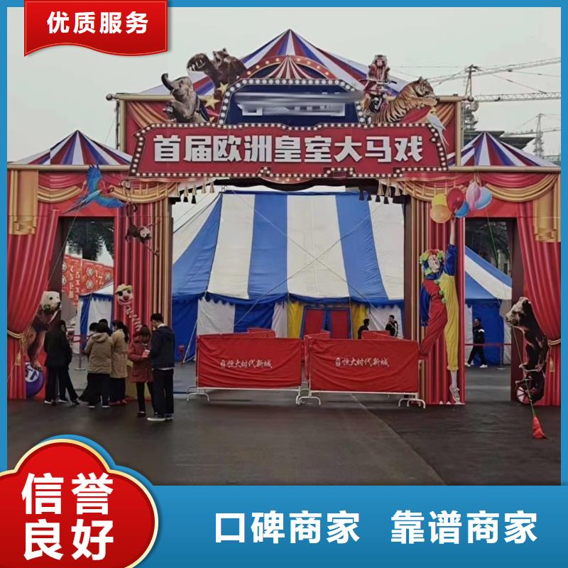 马戏团/羊驼_海狮表演租赁放心