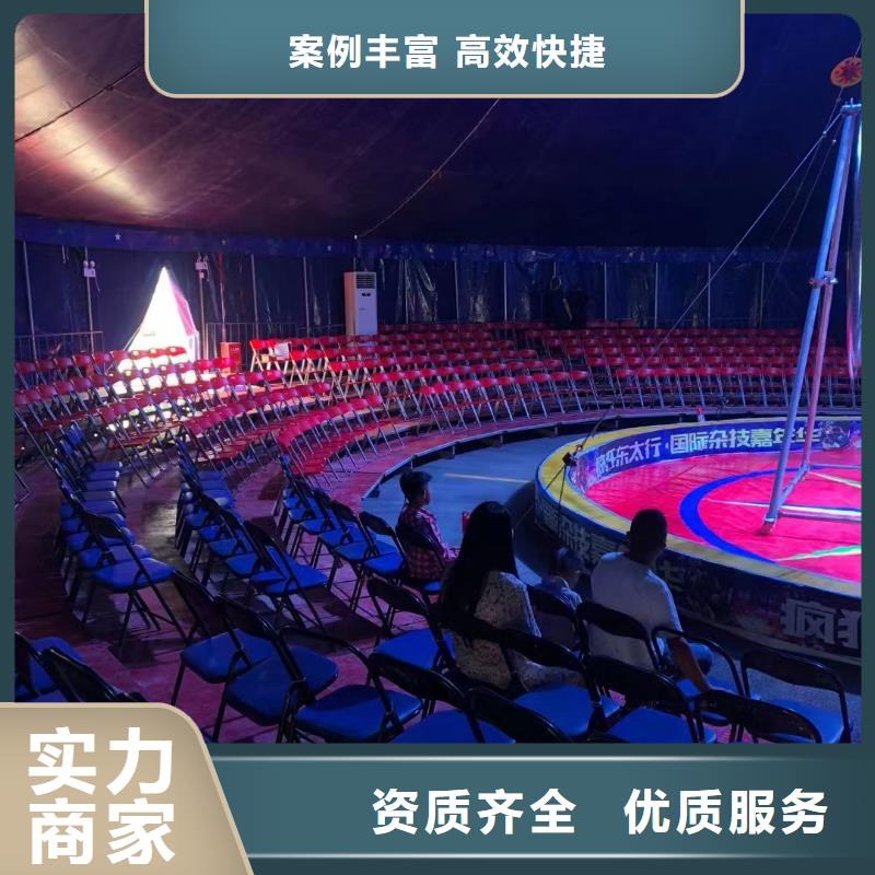 马戏团/羊驼马戏团表演正规团队