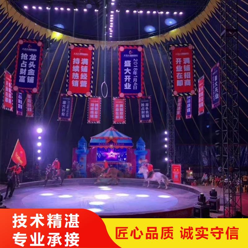 马戏团/羊驼小马戏表演出租行业口碑好