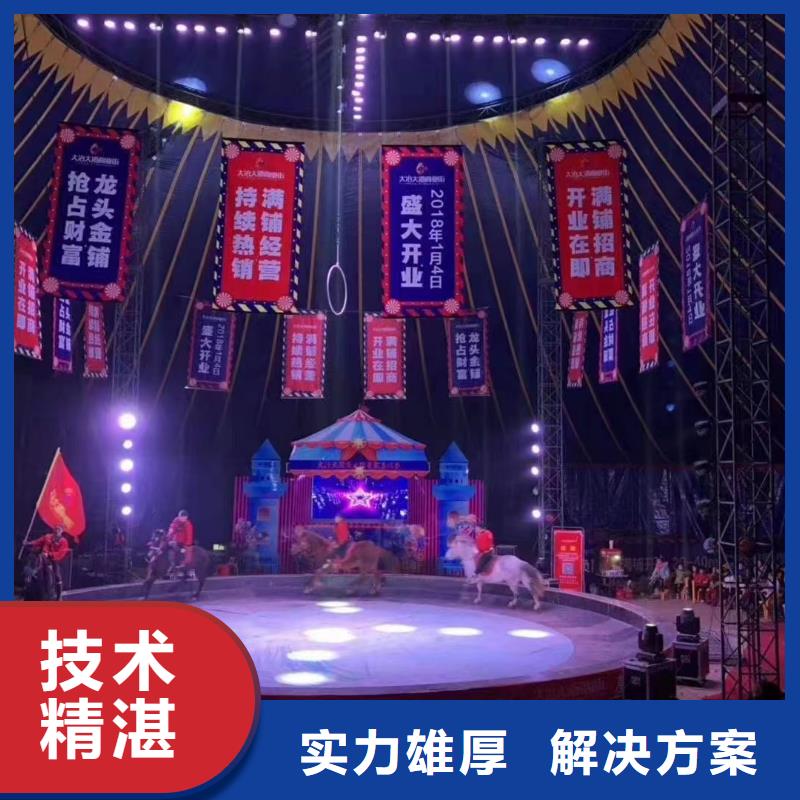 【马戏团/羊驼鹦鹉表演24小时为您服务】