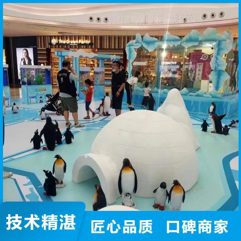 海洋主题动物表演,水族海洋展高性价比