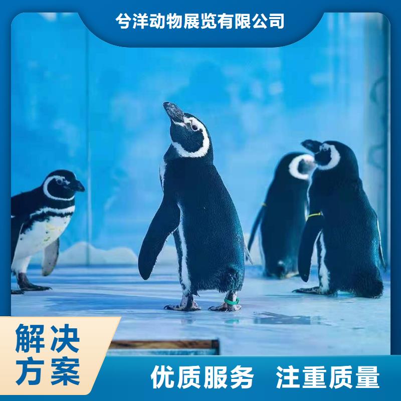 海洋主题动物表演水族海洋展明码标价