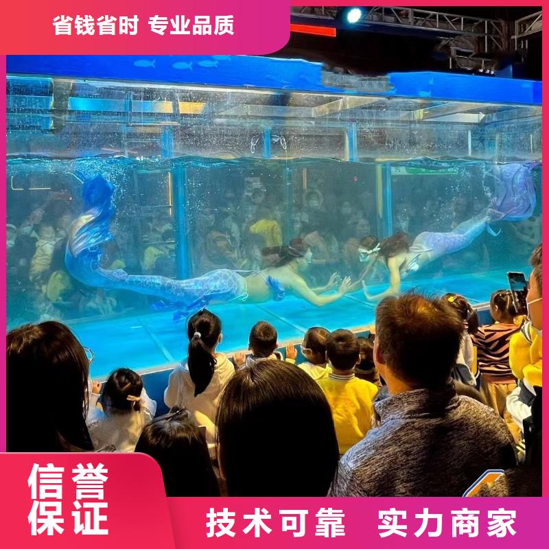 海洋主题动物表演企鹅租赁专业承接