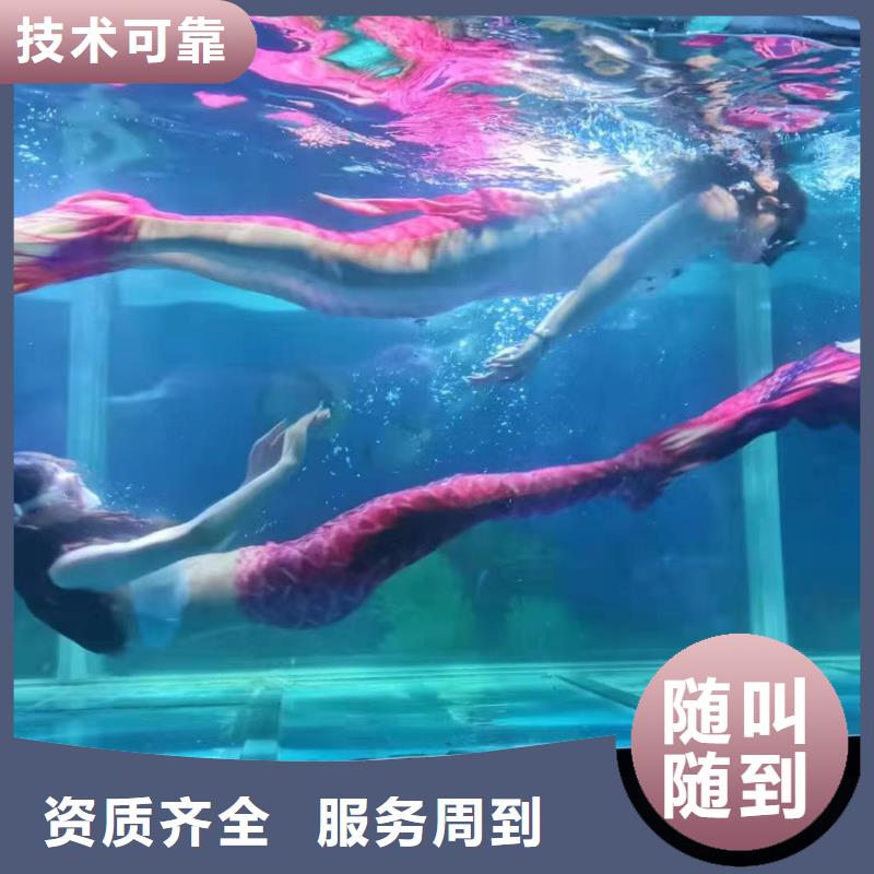 海洋主题动物表演动物表演出租行业口碑好