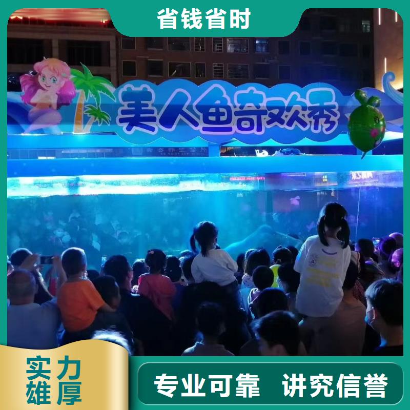 海洋主题动物表演小马戏出租技术可靠