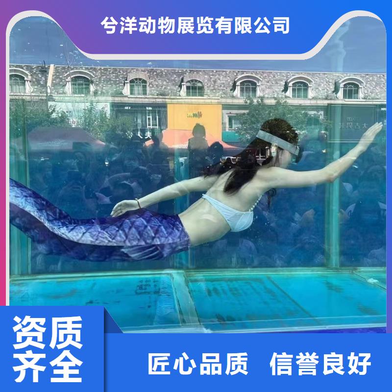 海洋主题动物表演马戏团出租质量保证