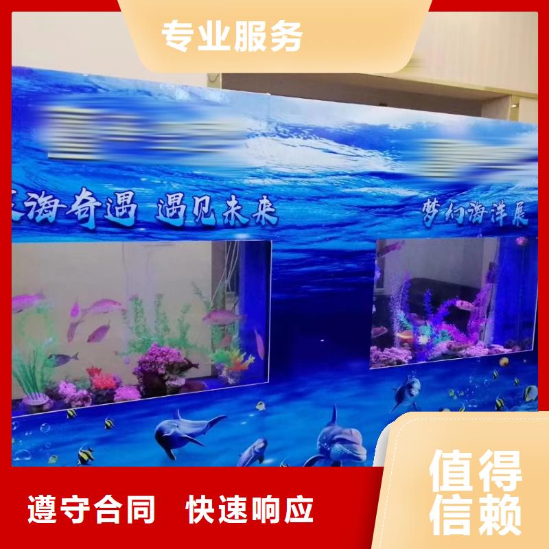 海洋主题动物表演动物表演出租行业口碑好