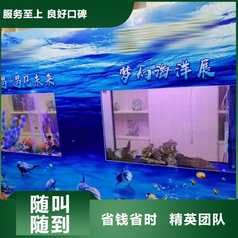 海洋主题动物表演企鹅出租诚信