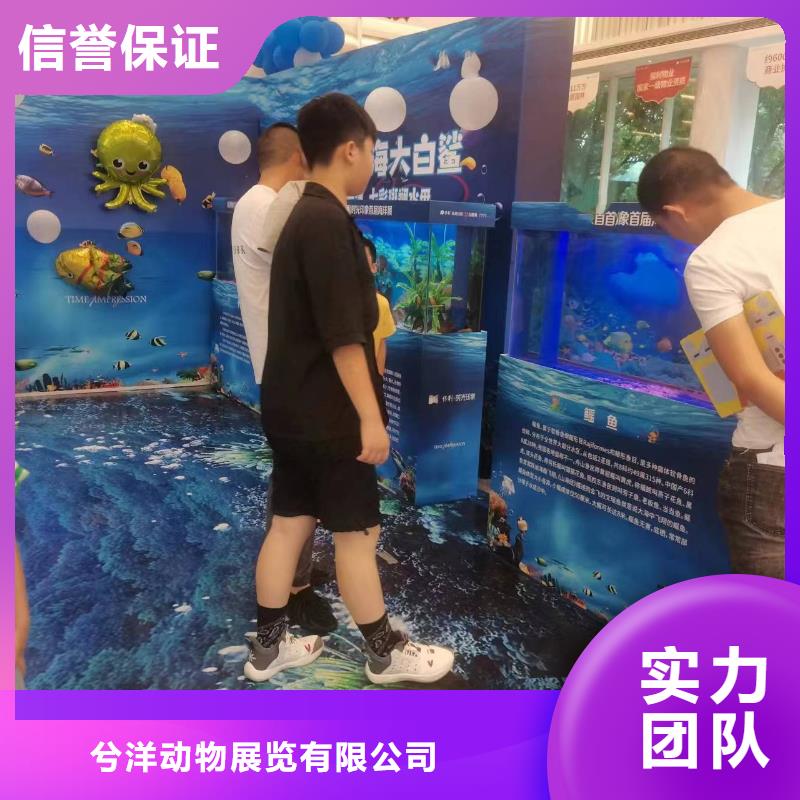 海洋主题动物表演水族海洋展明码标价