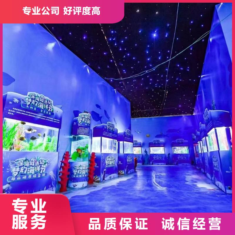 海洋主题动物表演_羊驼出租遵守合同