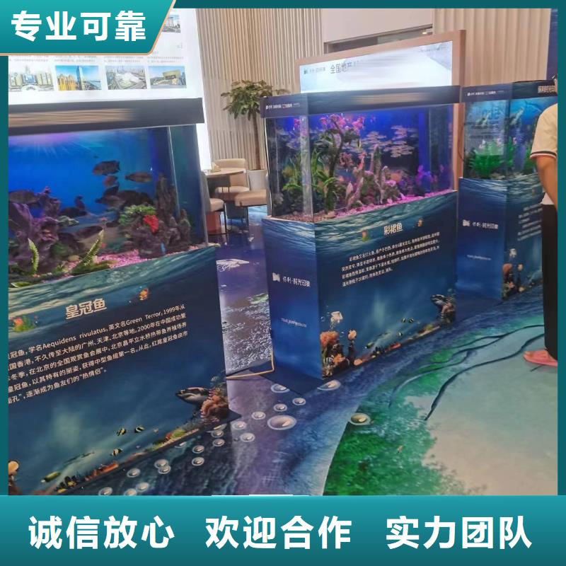 海洋主题动物表演,水族海洋展高性价比