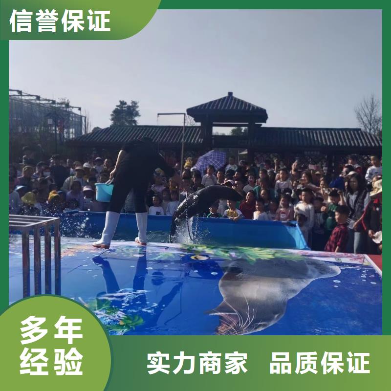 海洋主题动物表演水族海洋展明码标价