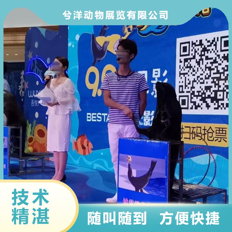 海洋主题动物表演,水族海洋展高性价比