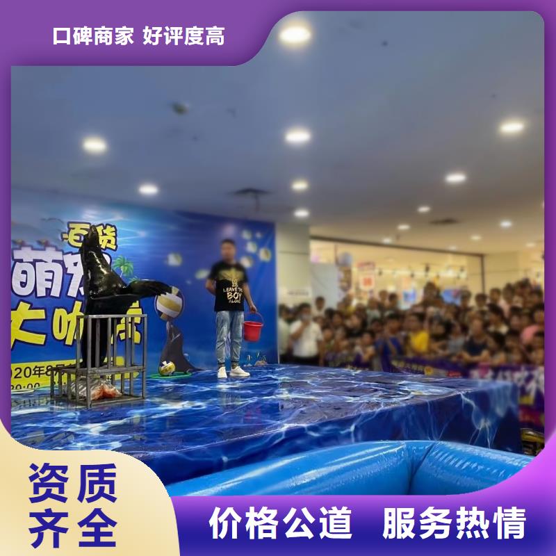 海洋主题动物表演,水族海洋展高性价比