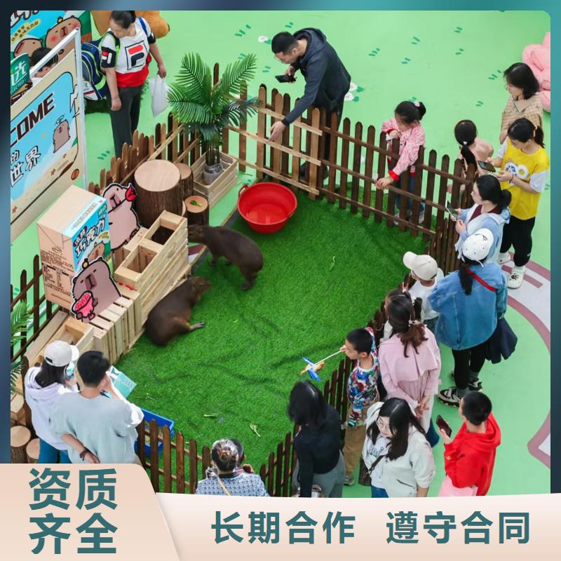 经验丰富的策划基地