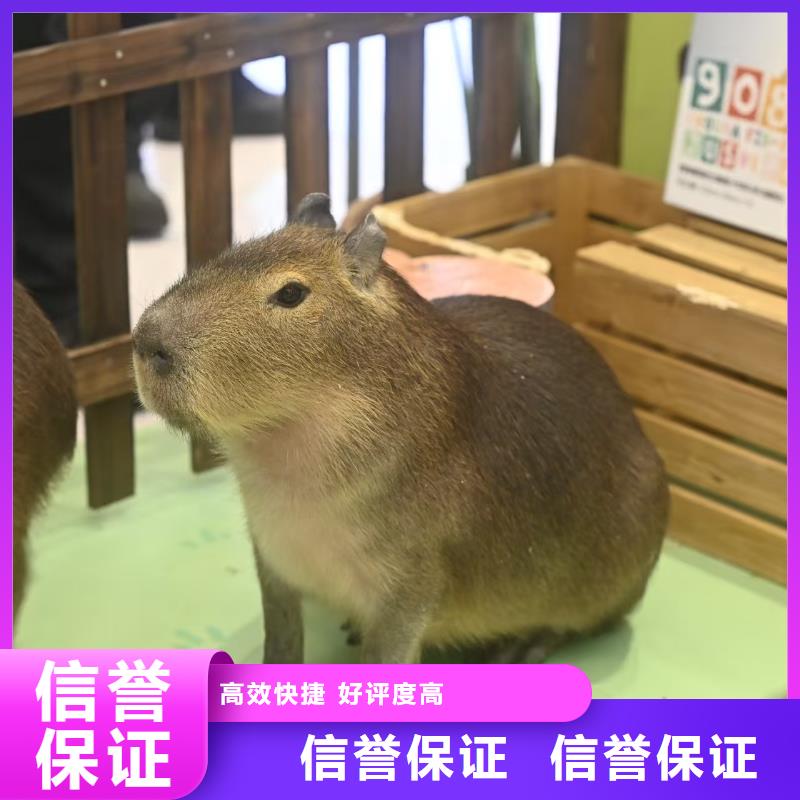 全年龄段适配-全年龄段适配品牌厂家