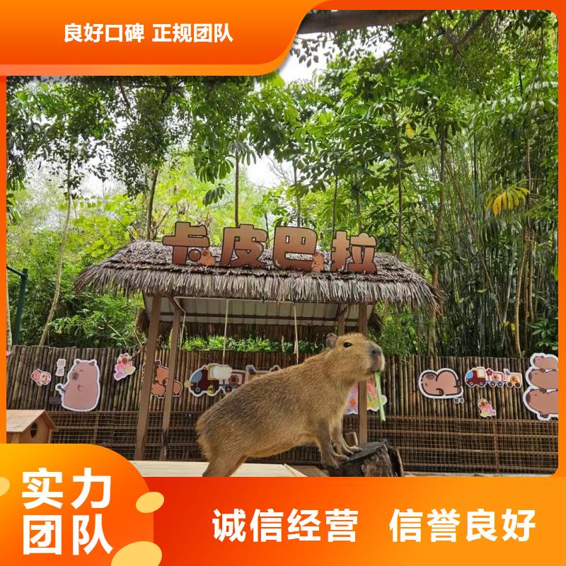 出租优势厂家加工