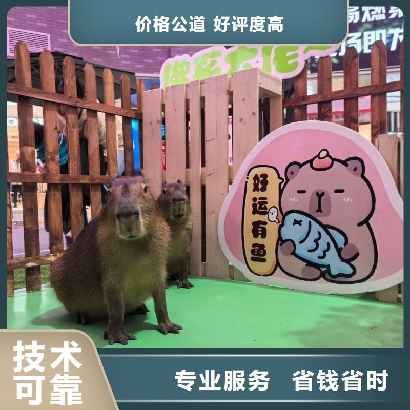 企业团建原厂定做