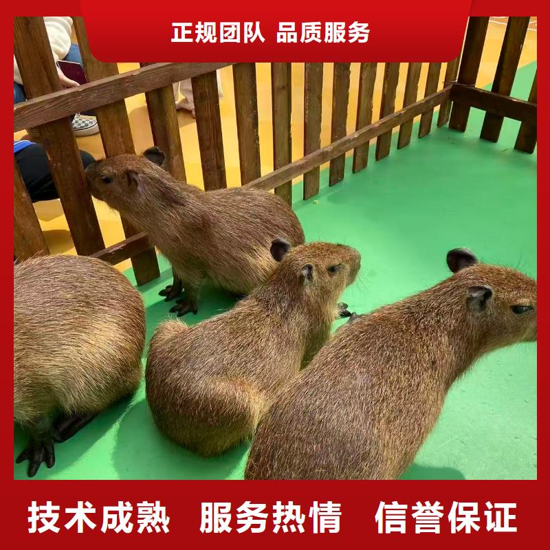 企业团建-企业团建质优价廉