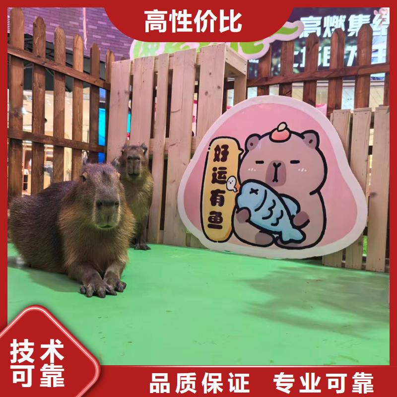 定做出租的生产厂家