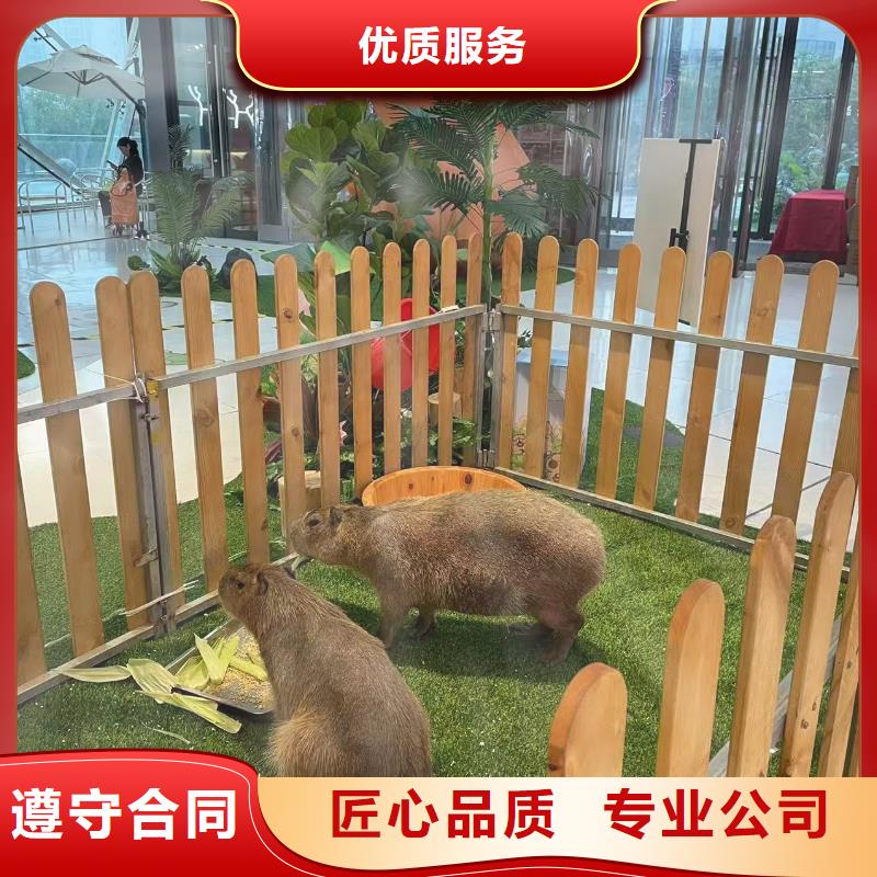 全年龄段适配报价