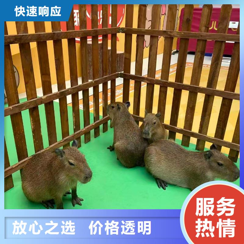 企业团建-企业团建质优价廉