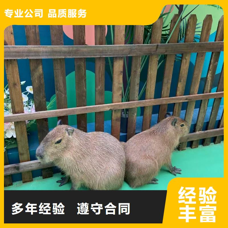 出租优势厂家加工