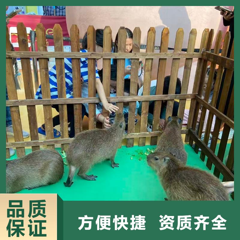 出租优势厂家加工