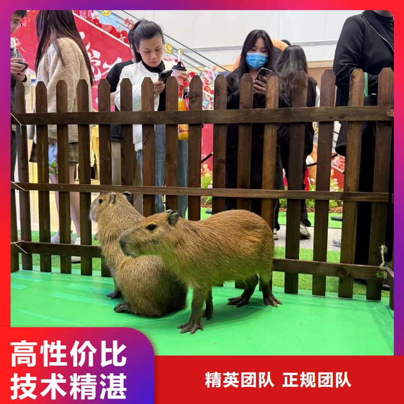 商场暖场经久耐用