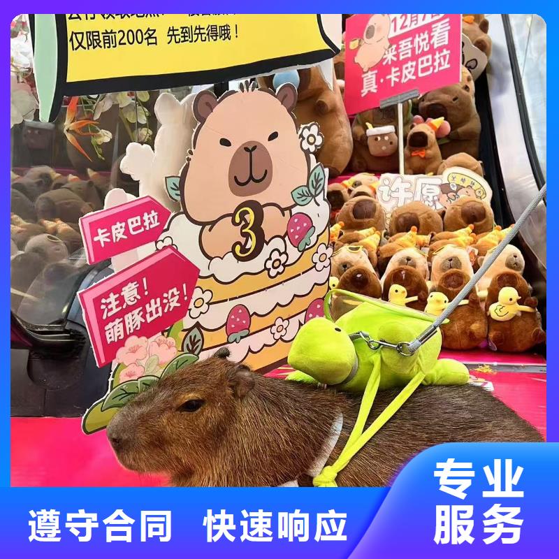 ：检疫标准厂家