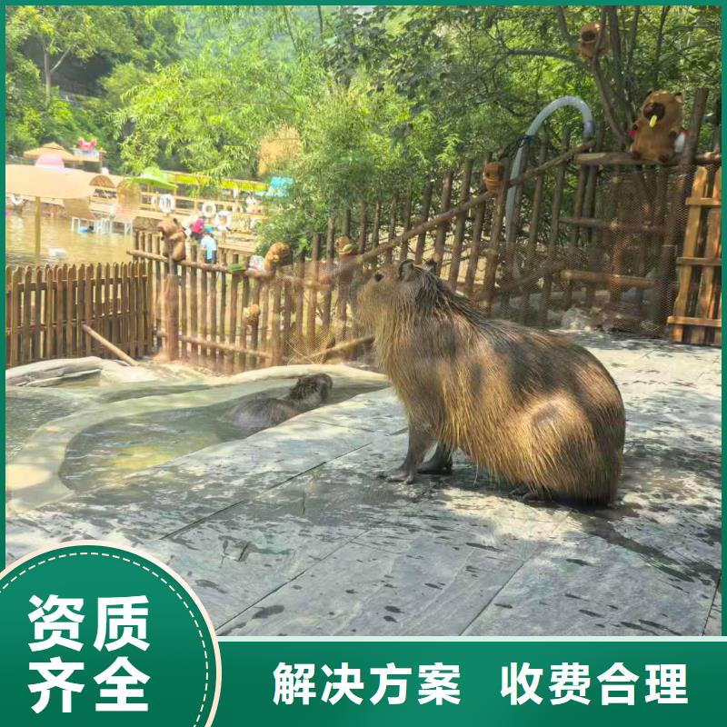 经验丰富的策划基地