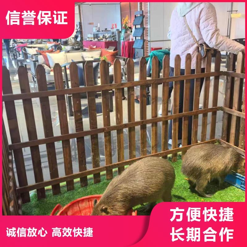 出租优势厂家加工