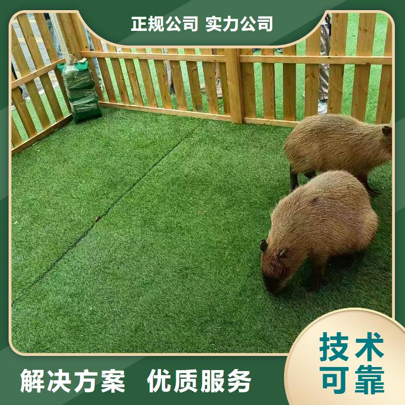 企业团建-企业团建质优价廉