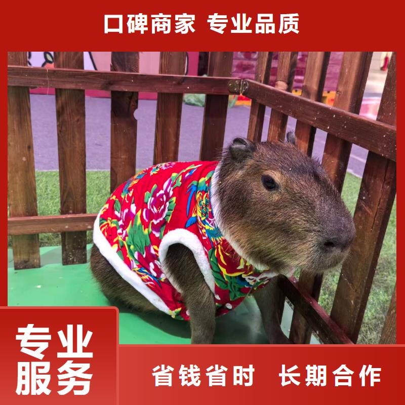 企业团建原厂定做