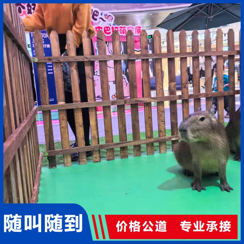 企业团建-企业团建质优价廉