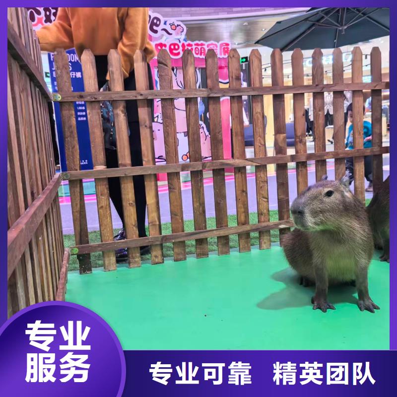 企业团建-企业团建质优价廉