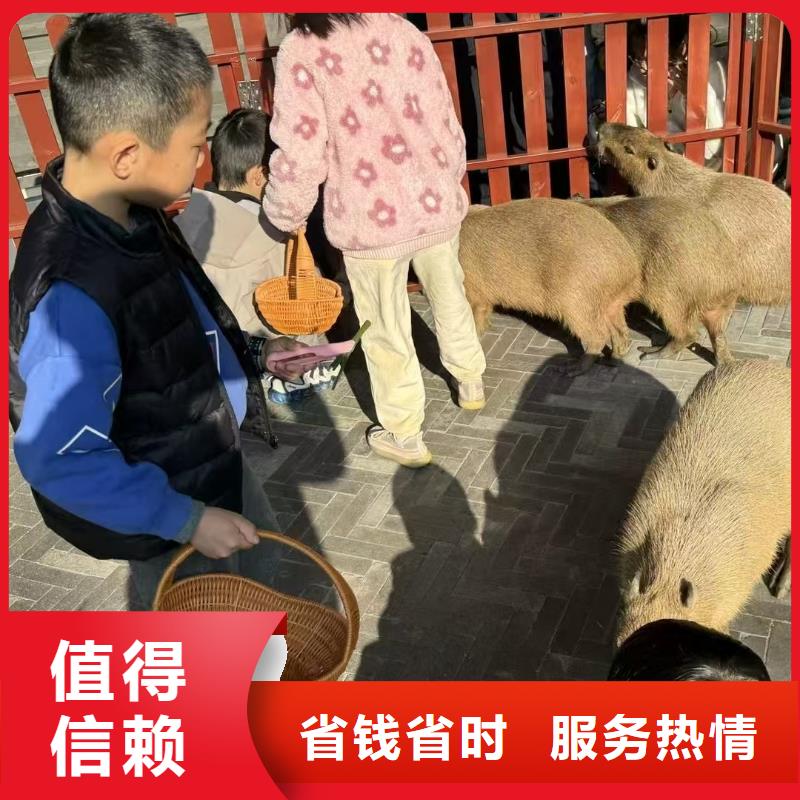 ：检疫标准厂家