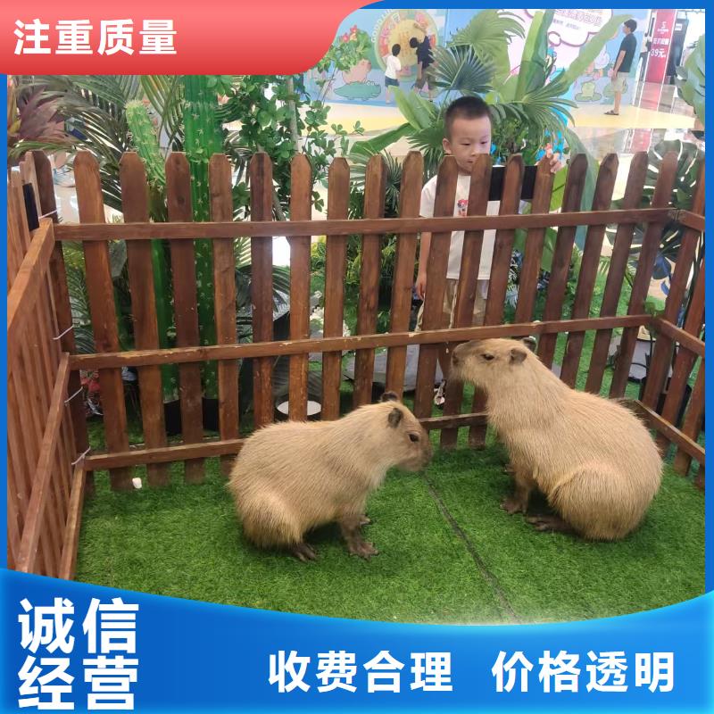 采购检疫标准必看-图文介绍