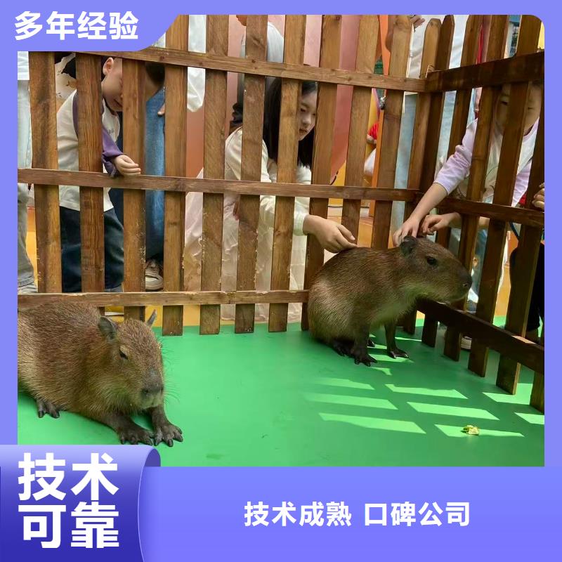 企业团建原厂定做