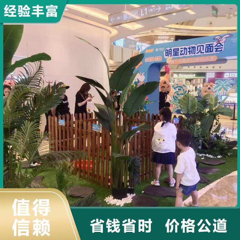 水豚出租公司_兮洋动物展览有限公司